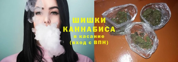 гидра Алексеевка