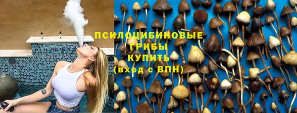 меф Алексин