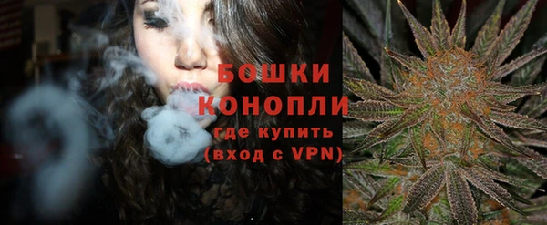 стаф Новозыбков