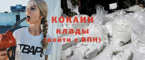 стаф Новозыбков